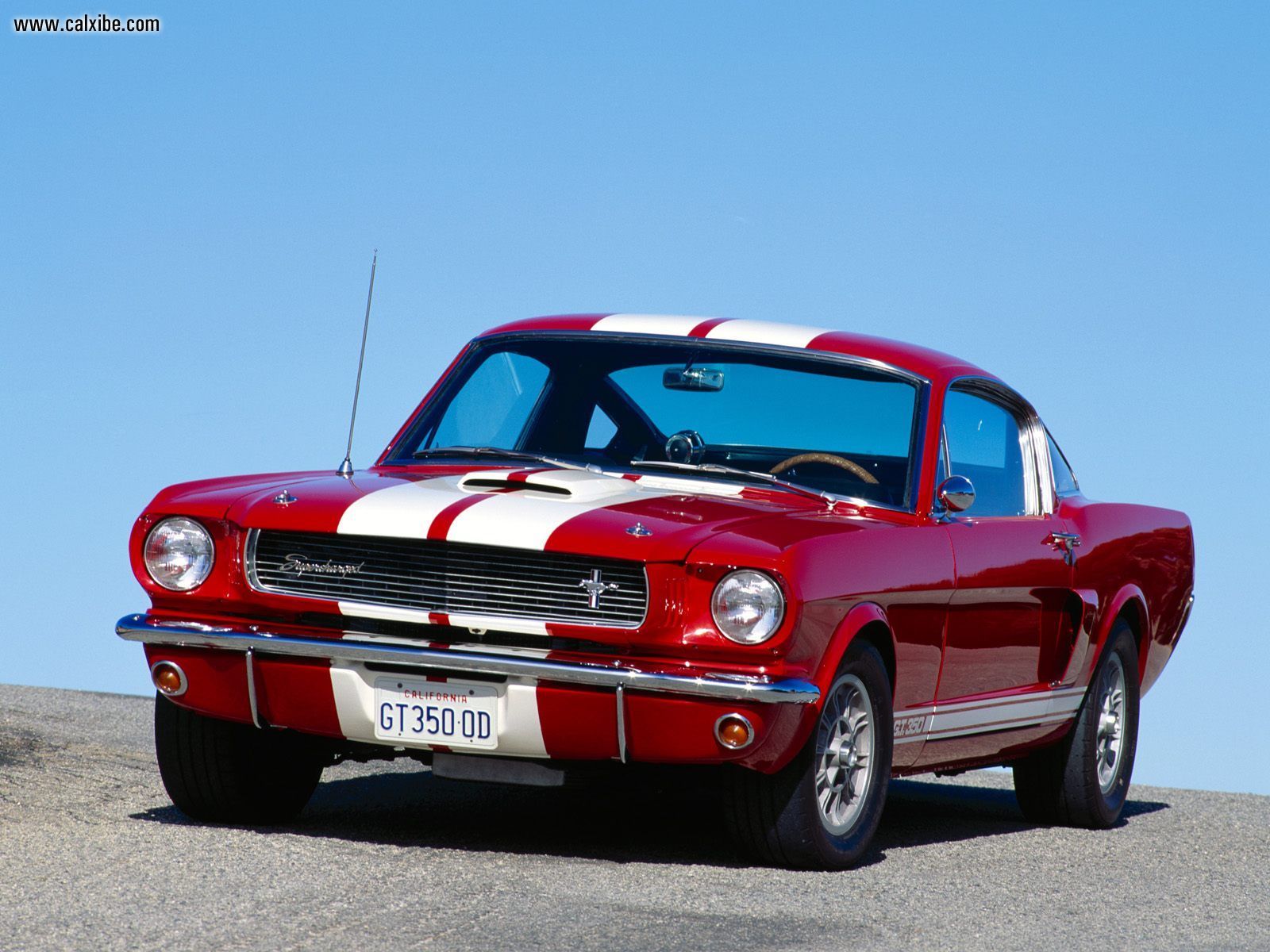 1966fordmustangshelbygt350